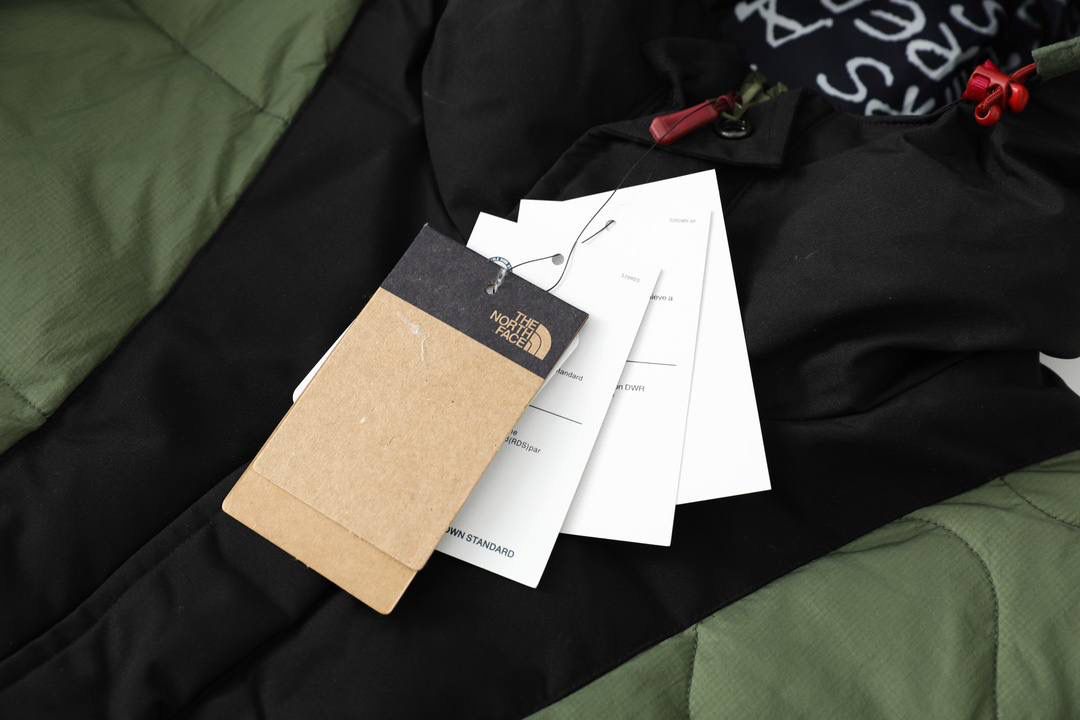 JAQUETA THE NORTH FACE 1